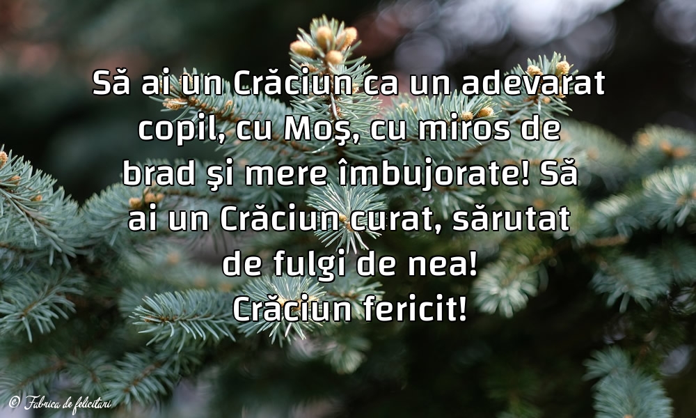 Felicitari de Craciun - Crăciun fericit!