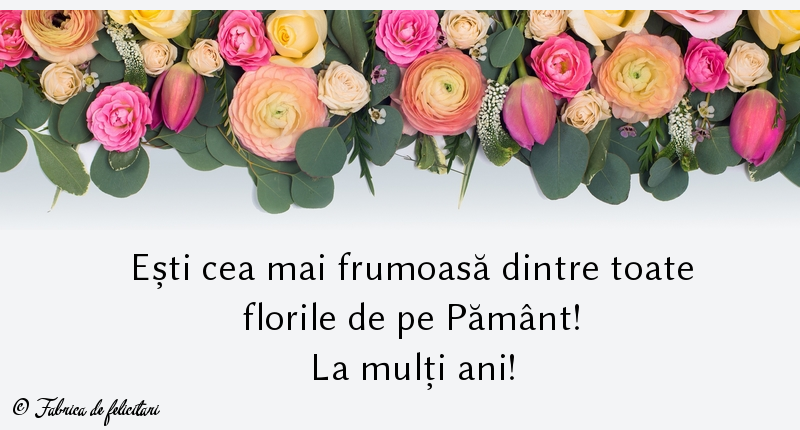 Felicitari de Florii - La mulți ani!